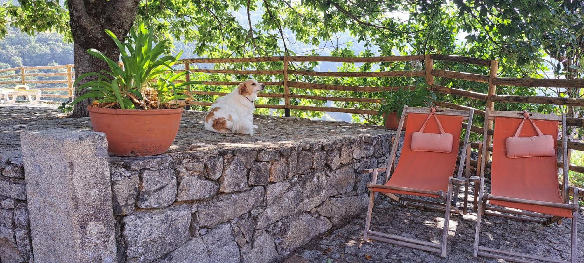 Refugio Dos Cartolas São Mamede de Infesta Exteriör bild