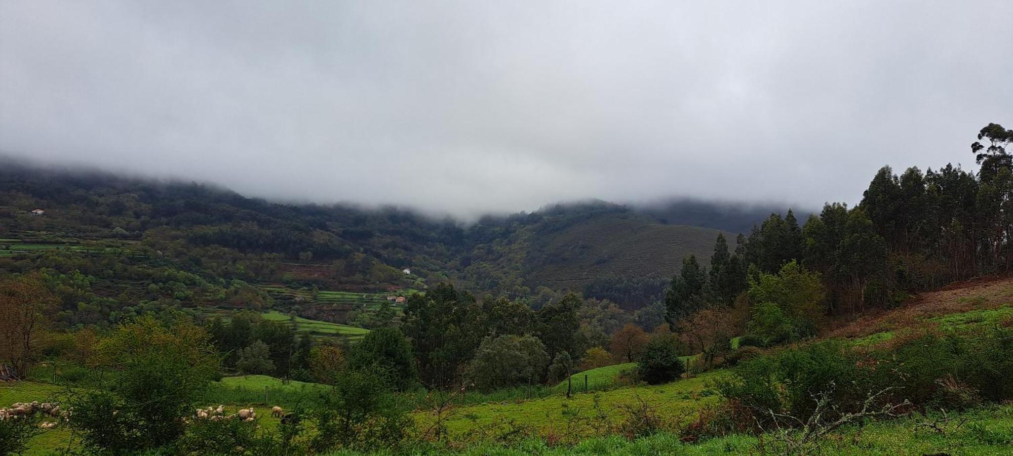 Refugio Dos Cartolas São Mamede de Infesta Exteriör bild