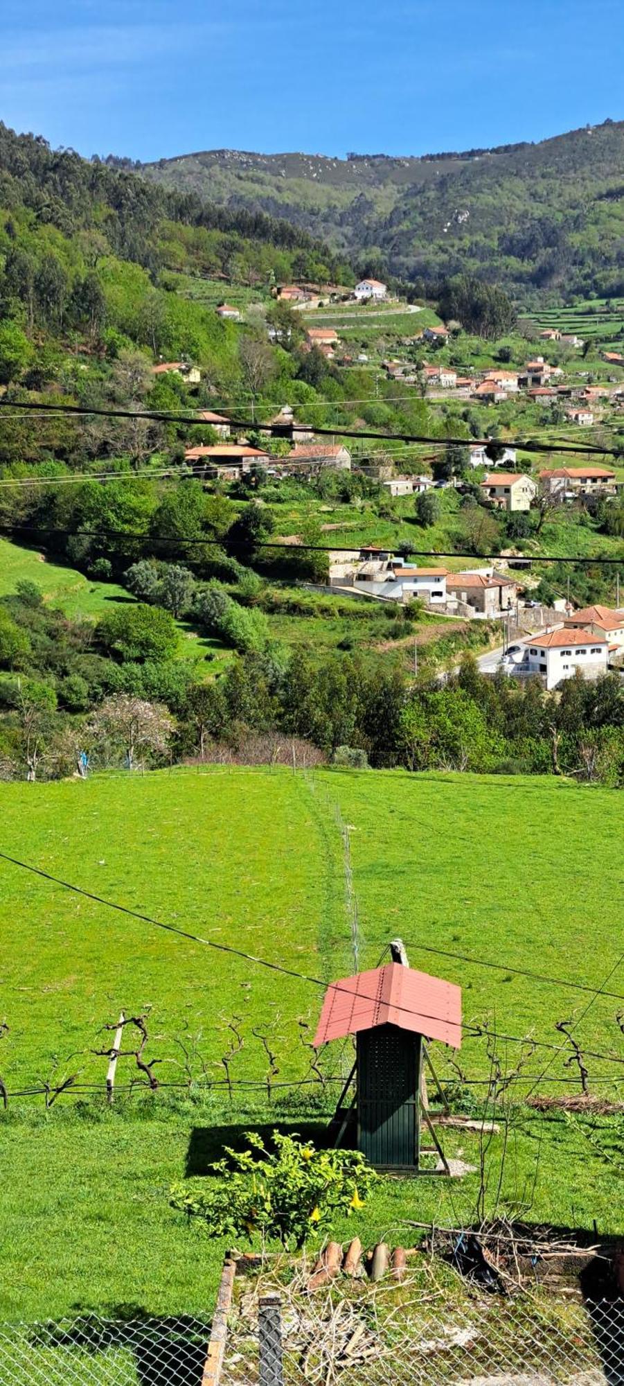 Refugio Dos Cartolas São Mamede de Infesta Exteriör bild
